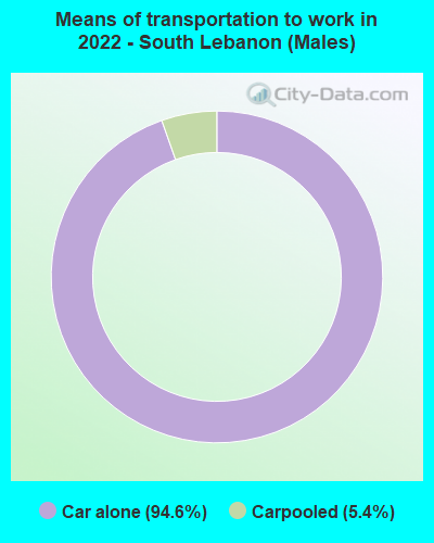 Means of transportation to work in 2022 - South Lebanon (Males)