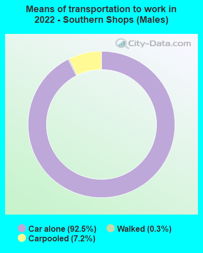 Means of transportation to work in 2022 - Southern Shops (Males)