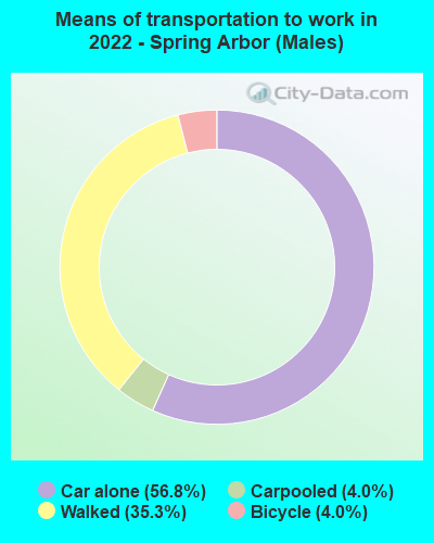 Means of transportation to work in 2022 - Spring Arbor (Males)