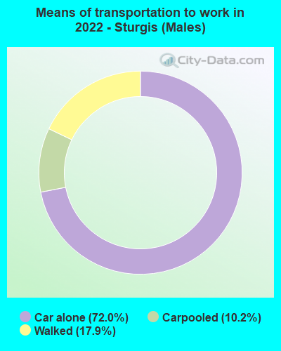 Means of transportation to work in 2022 - Sturgis (Males)