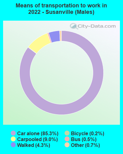 Means of transportation to work in 2022 - Susanville (Males)