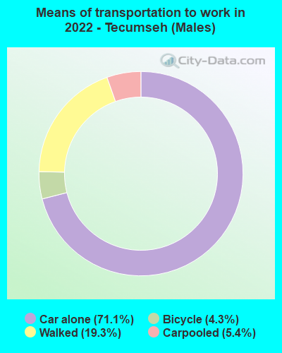 Means of transportation to work in 2022 - Tecumseh (Males)