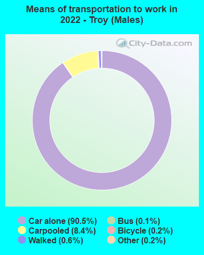 Means of transportation to work in 2022 - Troy (Males)