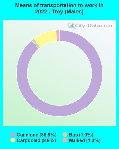 Means of transportation to work in 2022 - Troy (Males)