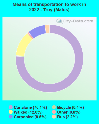 Means of transportation to work in 2022 - Troy (Males)