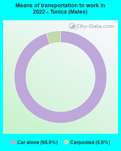 Means of transportation to work in 2022 - Tunica (Males)