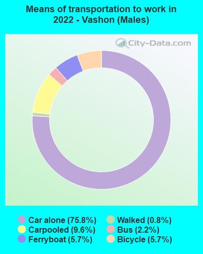 Means of transportation to work in 2022 - Vashon (Males)