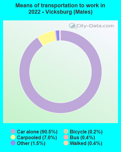 Means of transportation to work in 2022 - Vicksburg (Males)