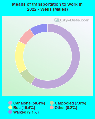 Means of transportation to work in 2022 - Wells (Males)