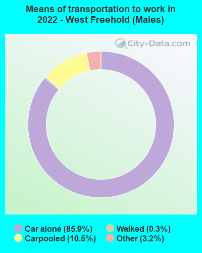 Means of transportation to work in 2022 - West Freehold (Males)