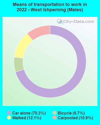 Means of transportation to work in 2022 - West Ishpeming (Males)