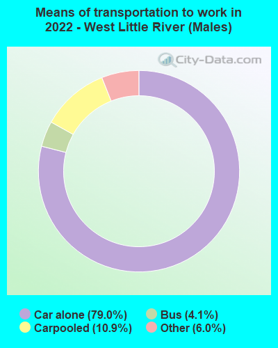 Means of transportation to work in 2022 - West Little River (Males)