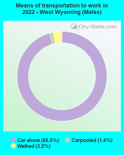 Means of transportation to work in 2022 - West Wyoming (Males)