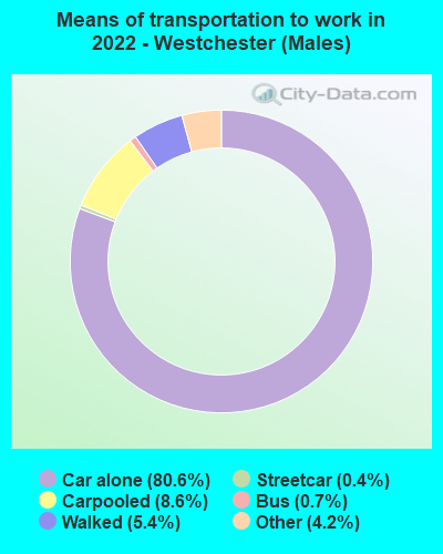 Means of transportation to work in 2022 - Westchester (Males)