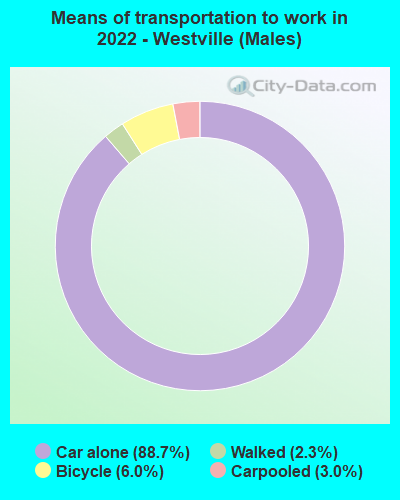 Means of transportation to work in 2022 - Westville (Males)