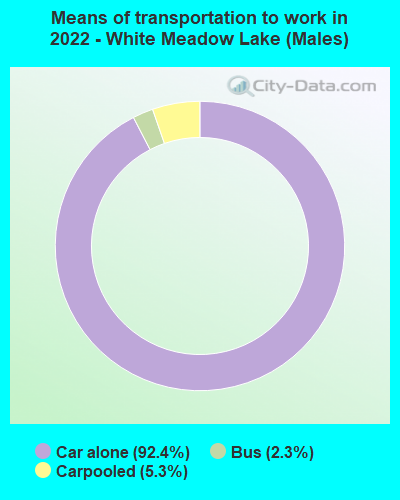 Means of transportation to work in 2022 - White Meadow Lake (Males)