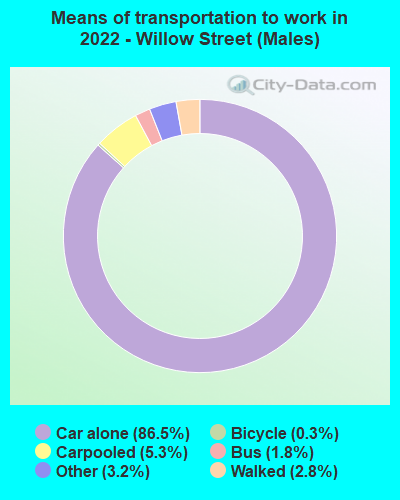 Means of transportation to work in 2022 - Willow Street (Males)