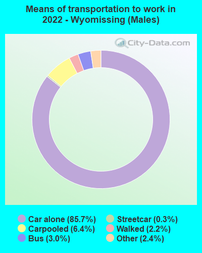 Means of transportation to work in 2022 - Wyomissing (Males)