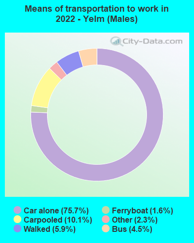 Means of transportation to work in 2022 - Yelm (Males)