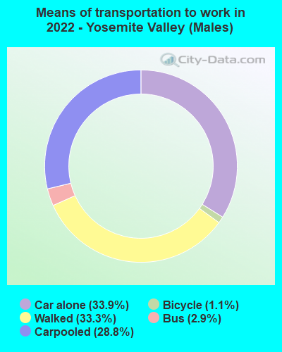 Means of transportation to work in 2022 - Yosemite Valley (Males)