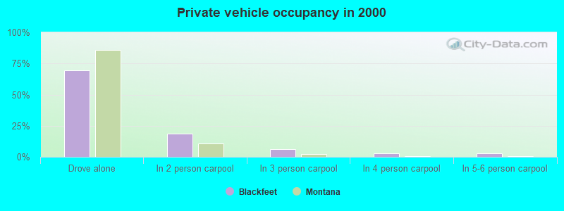 Private vehicle occupancy