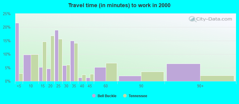 Travel time (in minutes) to work