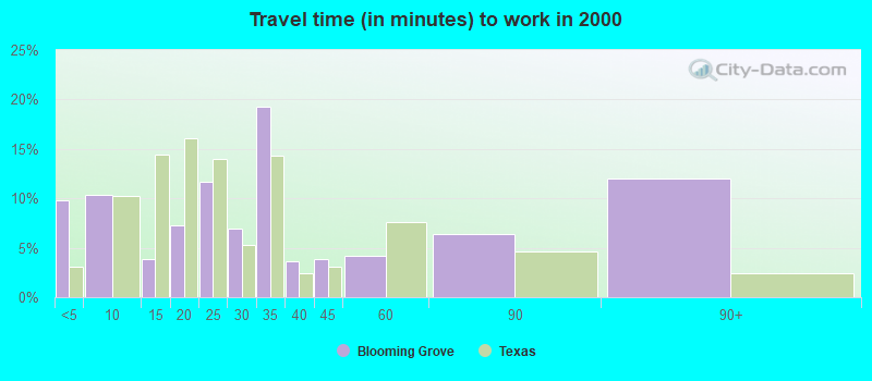 Travel time (in minutes) to work