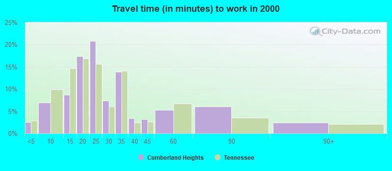 Travel time (in minutes) to work