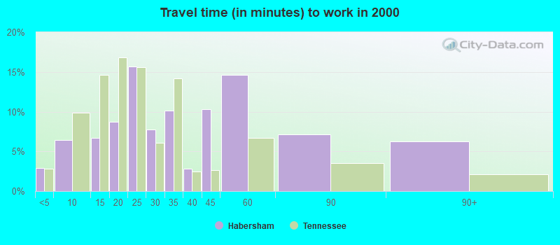 Travel time (in minutes) to work