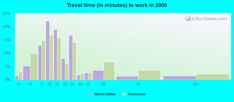 Travel time (in minutes) to work