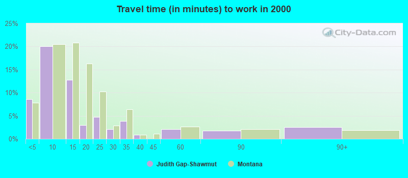 Travel time (in minutes) to work