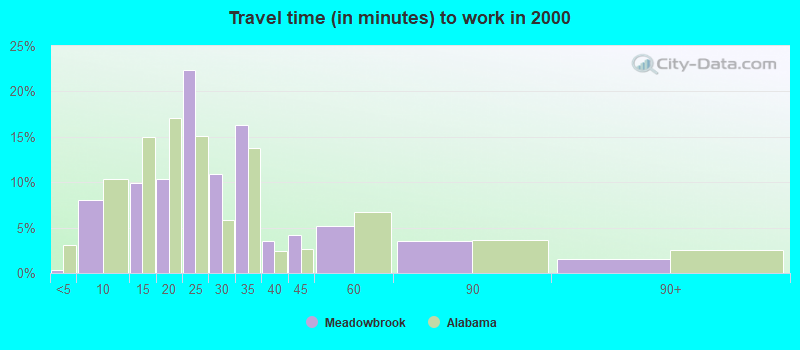 Travel time (in minutes) to work in 2000