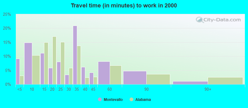 Travel time (in minutes) to work in 2000