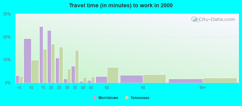 Travel time (in minutes) to work in 2000