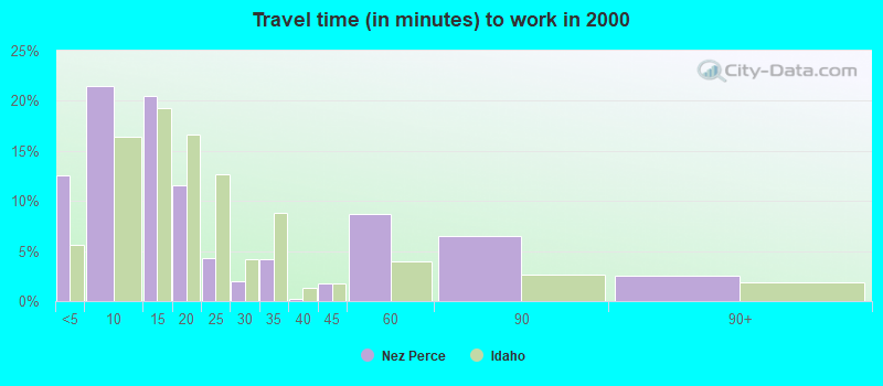 Travel time (in minutes) to work