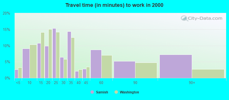 Travel time (in minutes) to work