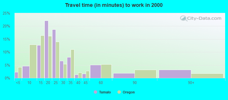 Travel time (in minutes) to work