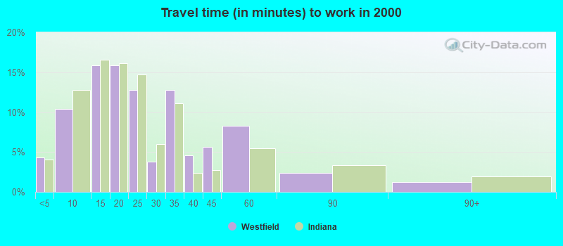 Travel time (in minutes) to work in 2000