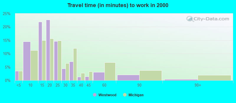 Travel time (in minutes) to work in 2000