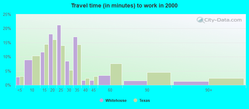 Travel time (in minutes) to work in 2000