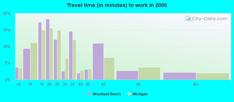 Travel time (in minutes) to work