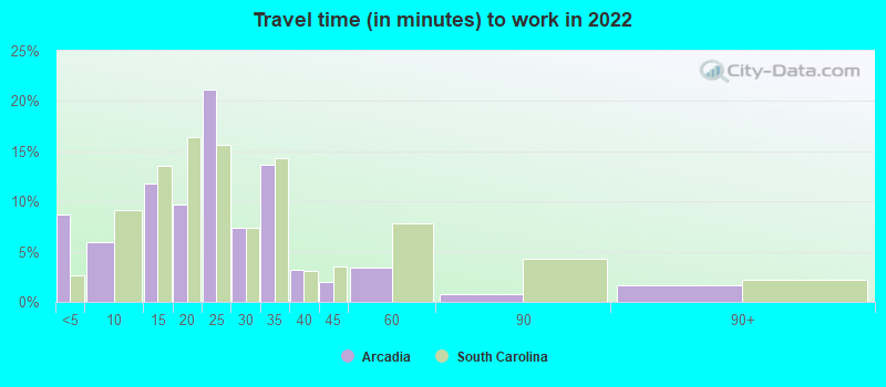 Travel time (in minutes) to work in 2022