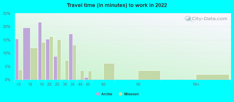 Travel time (in minutes) to work in 2022