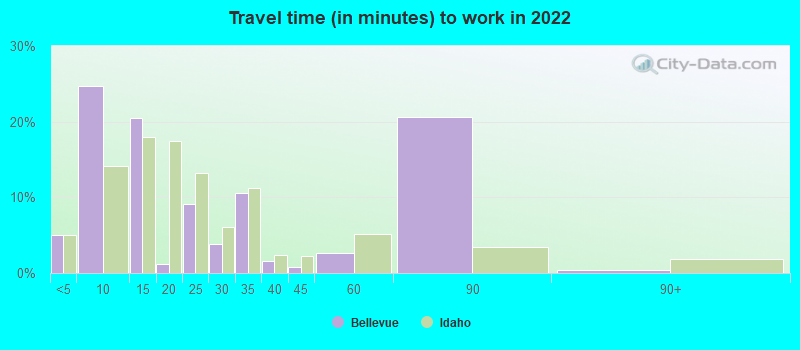 Travel time (in minutes) to work in 2022