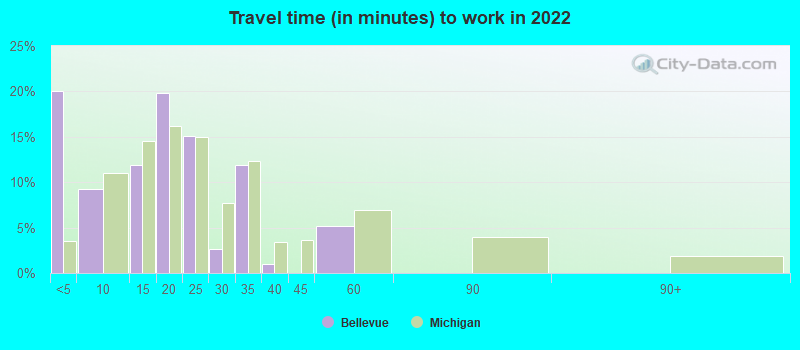 Travel time (in minutes) to work in 2022