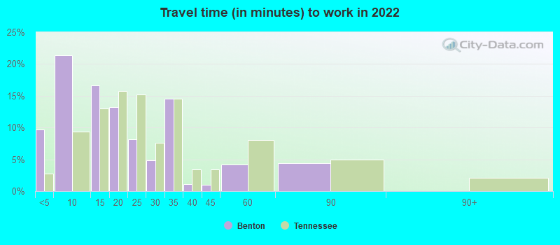 Travel time (in minutes) to work in 2022