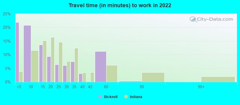 Travel time (in minutes) to work in 2022