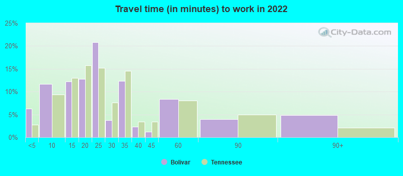 Travel time (in minutes) to work in 2022