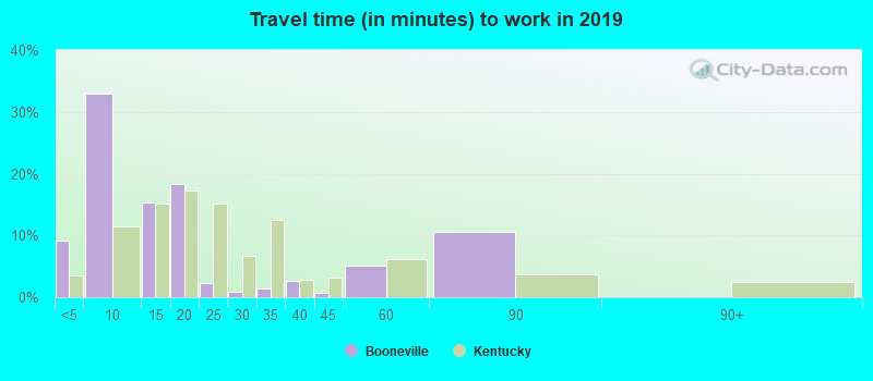 Travel time (in minutes) to work in 2022