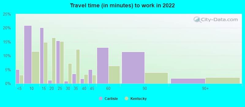 Travel time (in minutes) to work in 2022